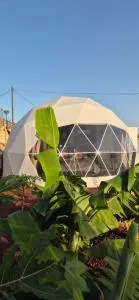 Koepel in Teguedite, Arico - La Cisnera