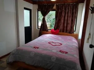 LOS OLIVOS HOSTERIA vía AL NEVADO CAYAMBE - 卡扬贝