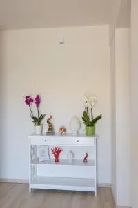 Elicon B&B - Albanella