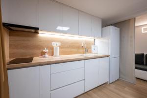 Studio apartment in Mastrinka with loggia, air conditioning, WiFi 5159-2