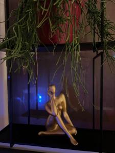 Love hotels 50 Nuances de Parentheses : photos des chambres