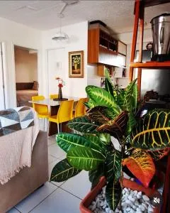 Apartamento Fazendinha - Macapá - Macapá