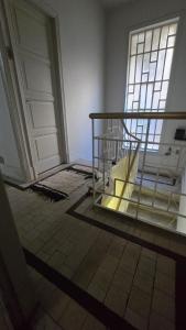 Quarto em apartamento no bairro das laranjeiras com 2 gatinhos lindos!