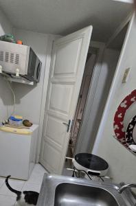Quarto em apartamento no bairro das laranjeiras com 2 gatinhos lindos!