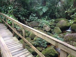 Beach house surrounded by lush nature
