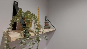 Appartements Au Clair De Lune : photos des chambres