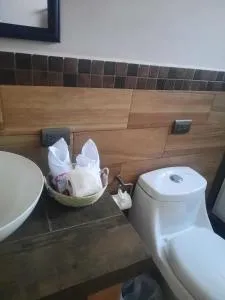 Casa Rosa - 奇奇卡斯特南戈