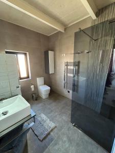 Central House in Sliema with Private Pool