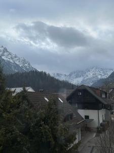 Kranjska Gora Urban Apartment