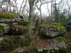 Campings Domaine de Chadeyron : photos des chambres