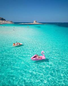 L'approdo
