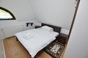 Pensiunea Ancuta din Botiza