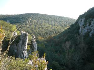 Campings Domaine de Chadeyron : photos des chambres