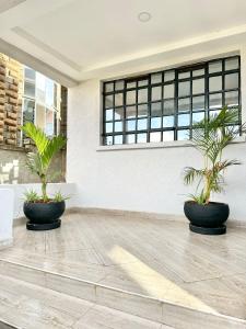 Calm Haven - Cozy Home