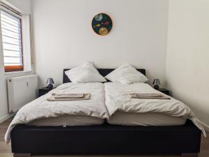 Apartment in Hofweier DG