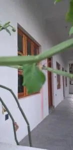 One FS Hotel Arugambay - 阿鲁甘湾