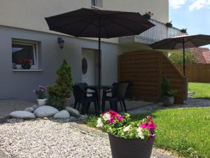 Apartment - Ground Floor room in Willa Aleksandra - Apartamenty