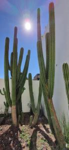 Hotel Posada San Luis