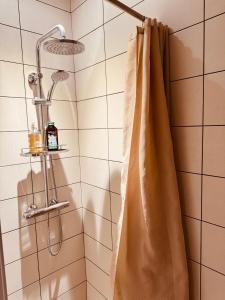 Appartements La Chaumiere, centre historique, fibre, ESS, rez-de-chaussee, BedinShop : photos des chambres