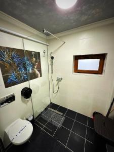 Apartament 1 camera LUX situat la parter in complex ApartHotel Botosani 2