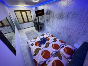 Apartament 1 camera LUX situat la parter in complex ApartHotel Botosani 2