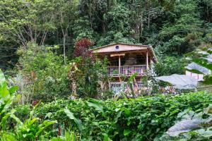 Mi Bohío Trekking - Unrated properties in Salento