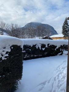 Erdgeschosswohnung, Sitzplatz, Garten, Nichtraucher