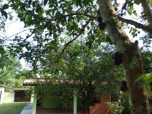 Casa Refúgio da Cachoeira