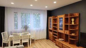 Grey Apartment Kraków