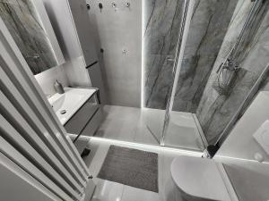 Grey Apartment Kraków