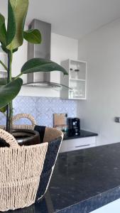 Appartements Appartement Cosy - Proche Roissy, Disney et Gare pour Paris : Appartement 1 Chambre