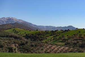 Villa Ilisio