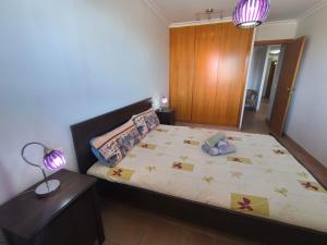 Apartment Playa ParaĆso