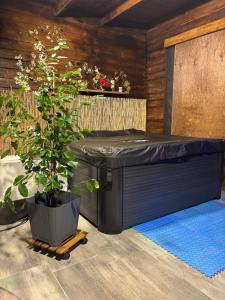 Chalets Le Chalet de Francesca : photos des chambres