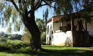 Willow Tree House - Hidden in the perfect place - 拉弗兰卡