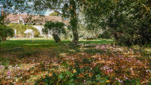 B&B / Chambres d'hotes B&B BienViennue : photos des chambres