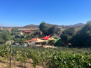 Lago Amor del Valle Casita