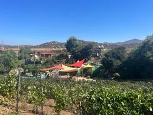 Lago Amor del Valle Casita - Las Palmas