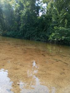 Casa Refúgio da Cachoeira
