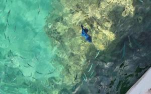 Villa with private pool A F