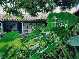 Casona los Vega