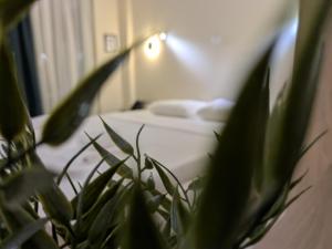 AIR-IN Rooms with magnificent views