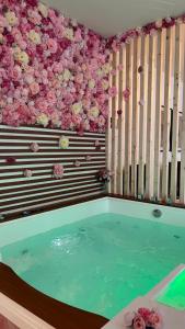 Apparemment jacuzzi balnéo centre de Bordeaux