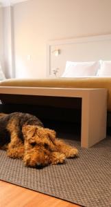 Stylish Loft Ideal for Couples & Work 105