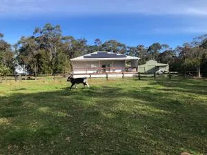 Kangaroo hill - Sassafras