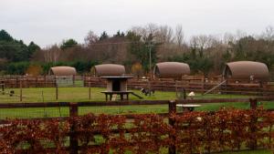 Hidden Acres- Luxury Glamping Pod