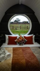 Hidden Acres- Luxury Glamping Pod