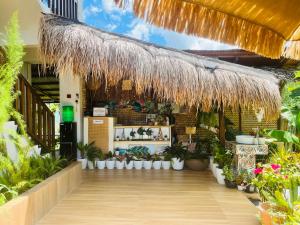 La Palapa Inn Port Barton