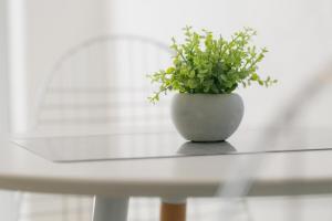 5A Guest House INFINITY