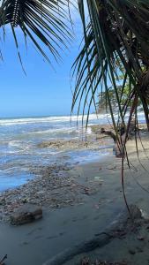 Papaya Wildlife Lodge